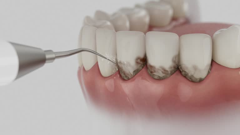 Reliable Dental contractor in Reidsville, NC by Dentist Open Now